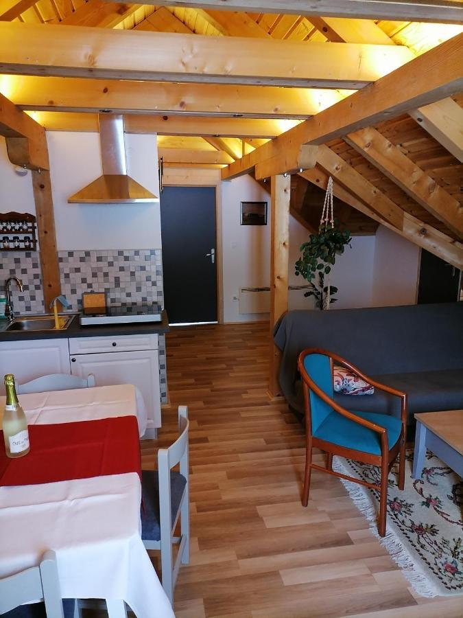 Apartman Tonka Otočac Exteriér fotografie